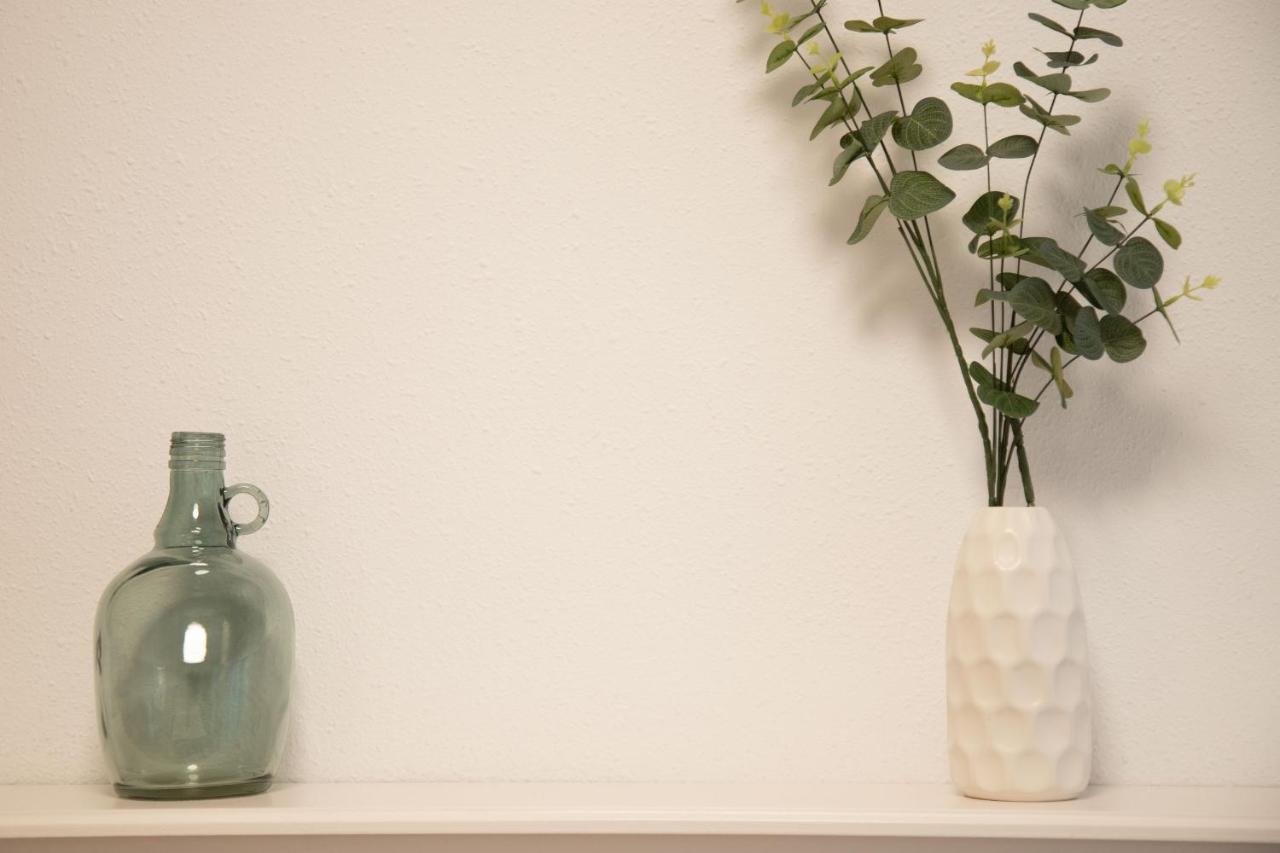 Cute And Comfy Apartment By Cisan Rentals San Sebastián Eksteriør bilde